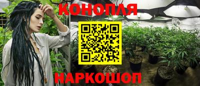 мдпв Гусев