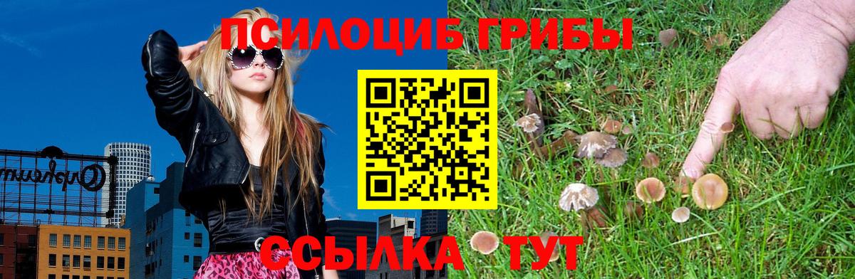 Псилоцибиновые грибы прущие грибы Магадан