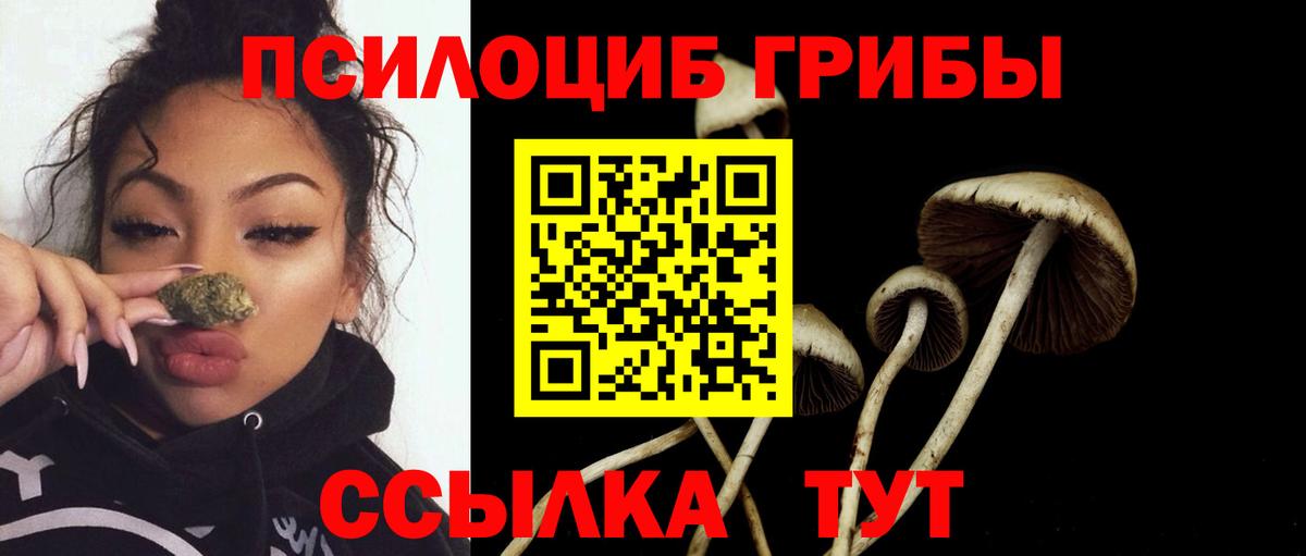 Магадан  Псилоцибиновые грибы Psilocybine cubensis  даркнет сайт  Вход с VPN  Галлюциногенные грибы Psilocybine cubensis 